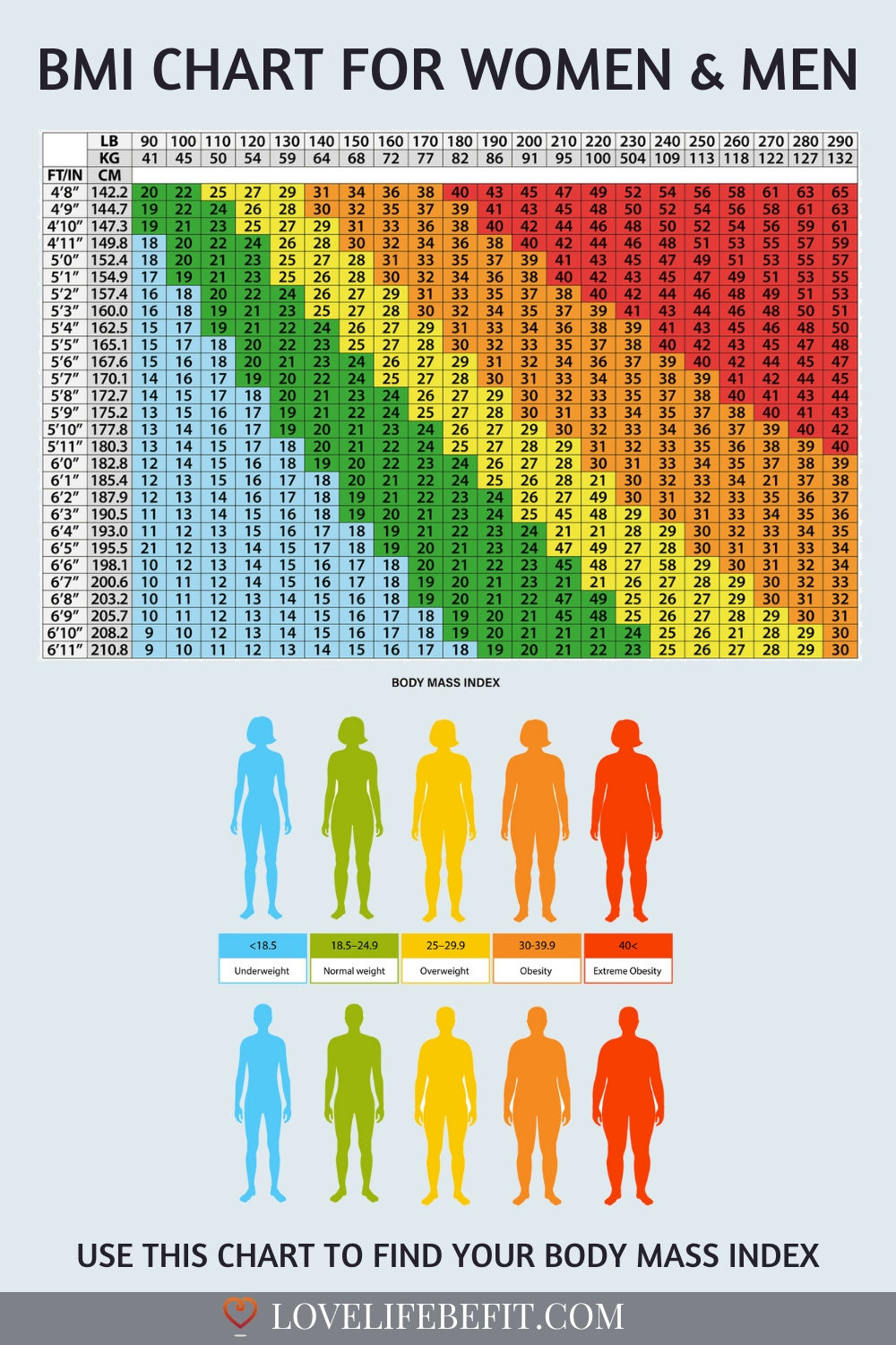BMR equation illustration