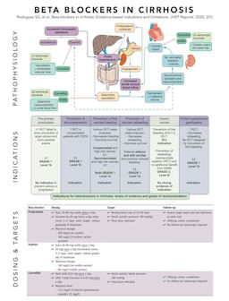 Nonselective beta blockers and cirrhosis (educational image)