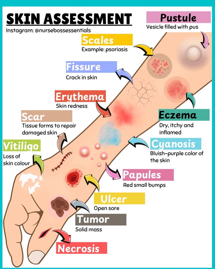 Dermatology and skin health in transplant recipients