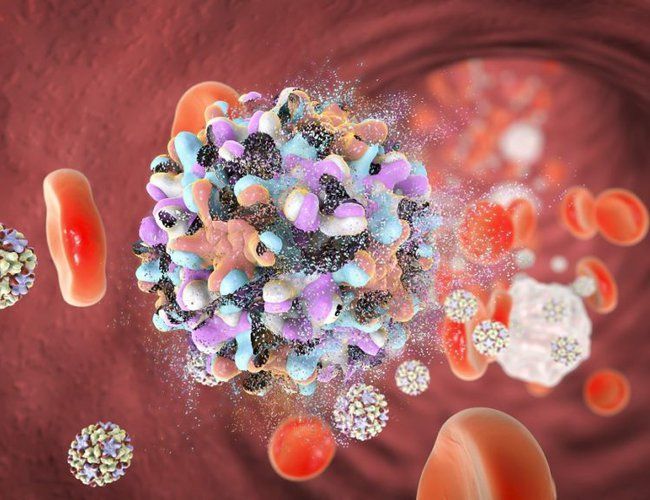 Types of hepatitis and liver transplantation