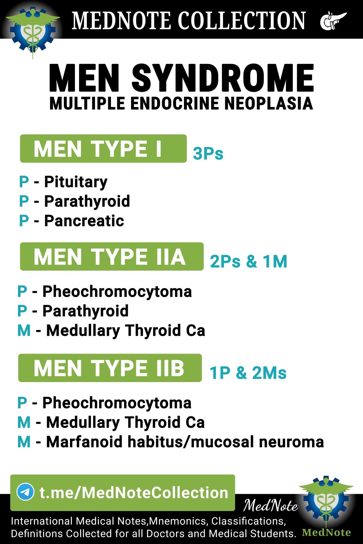 Multiple endocrine neoplasia and endocrine organs
